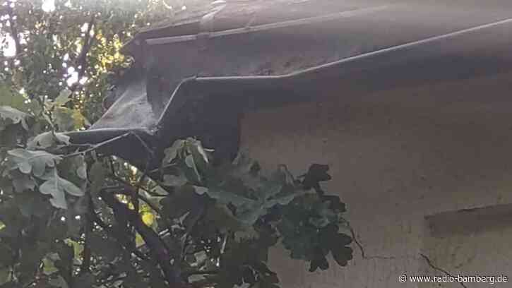 Sommergewitter verursacht Ast- und Gehölzschäden in Bamberg