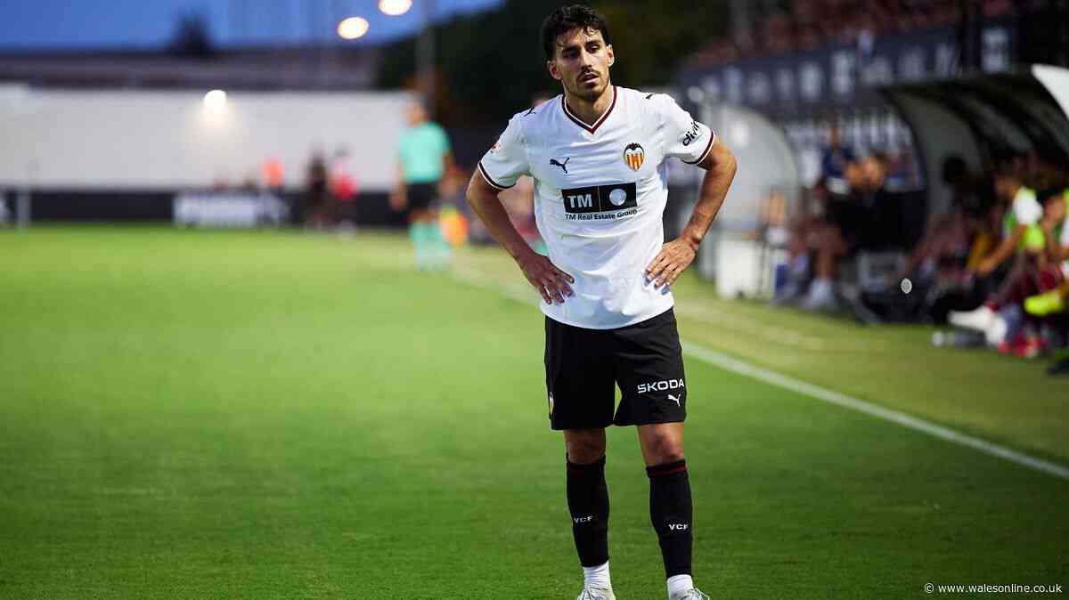 Swansea City 'submit bid' for Valencia midfielder as complications emerge