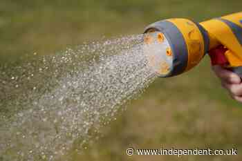 Hosepipe ban map: Over 24 million hit by restrictions as drought declared