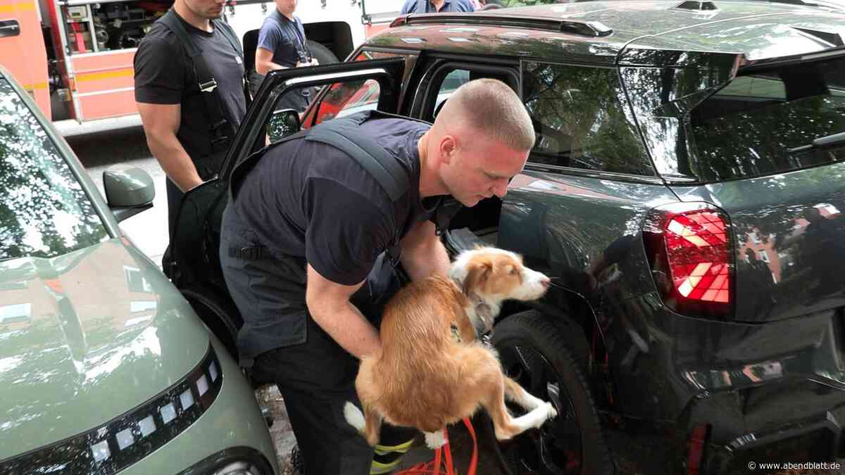 Polizei und Feuerwehr retten zurückgelassenen Hund aus Auto – Halterin empört