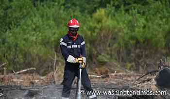 Firefighters battle the last hot spots of a monster wildfire in France's southwest