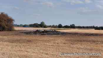 Police probe six suspected haystack arson attacks