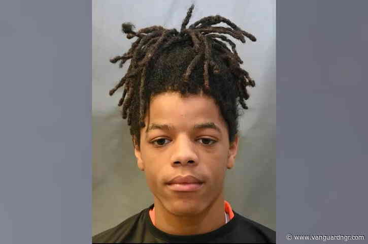 15-yr-old boy sentenced to 100 years in prison for killing woman in US