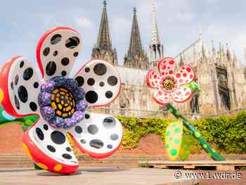 Kusama-Ausstellung in Köln endet: So gibts noch Tickets