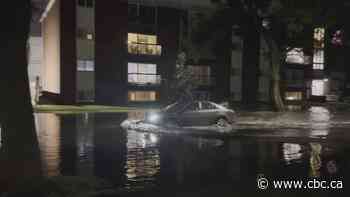 Dealing with flood damage? Insurance experts have tips for Edmonton homeowners