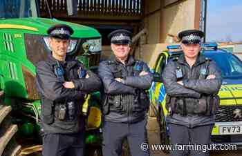 Seven stolen cattle recovered as second arrest made