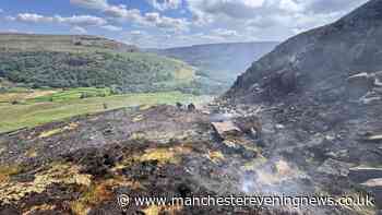 MP calls to suspend sale of disposable BBQs amid huge wildfires across UK