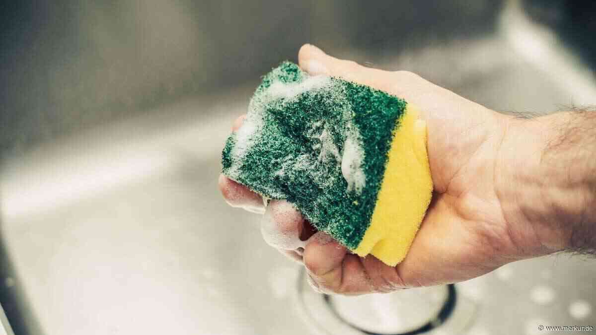Keimfalle Küchenschwamm: Neue Studie zeigt erscheckendes Ausmaß an Bakterien