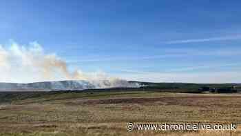 North East area ranked among top 10 most at risk of wildfires in the UK