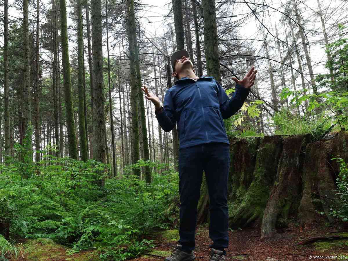 Exclusive: Explore photographs of every dead tree in Stanley Park. Are they a fire risk?