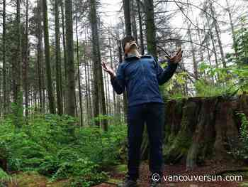 Exclusive: Explore photographs of every dead tree in Stanley Park. Are they a fire risk?