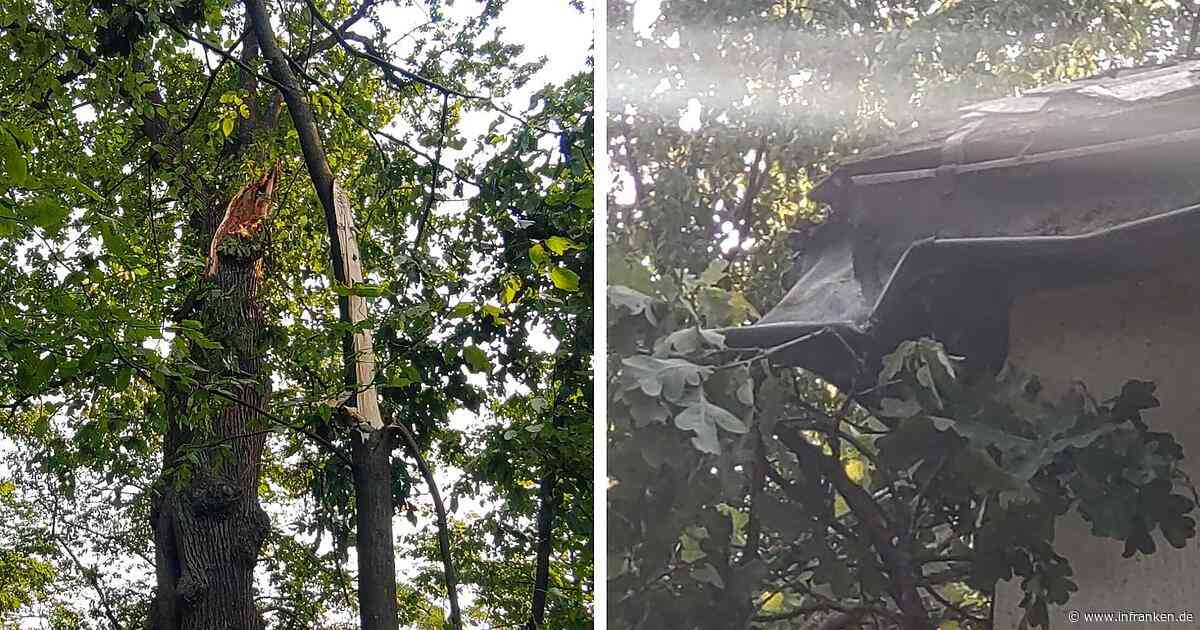 Sturmschäden: Windböen zwischen 90 und 100 km/h fegen über Bamberg