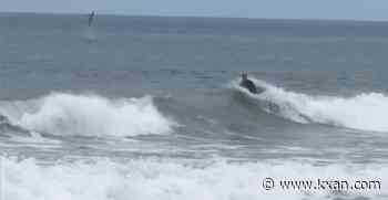 WATCH: Great white shark videobombs bodyboarder at beach
