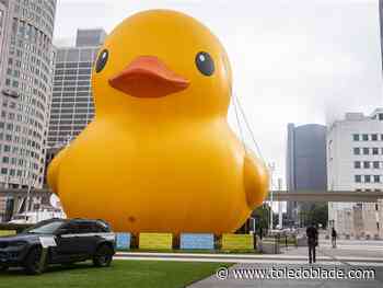 World’s largest rubber duck headed back to northwest Ohio