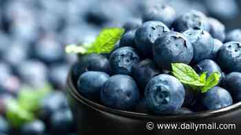 Blueberries recall expanded after four people hospitalized over bacterial contamination