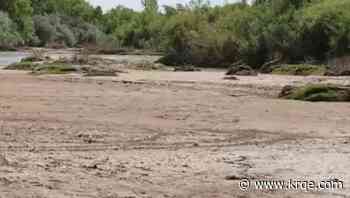 Rio Grande dry out: Fish face dire scenario, other wildlife seek alternative habitats