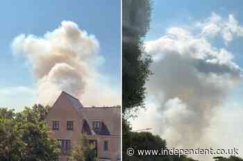 UK wildfires latest: Blaze breaks out in Essex as helicopter tackles ‘unpredictable’ Suffolk fire