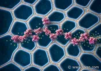 UT Austin creates brain-like material from billions of tiny water droplets