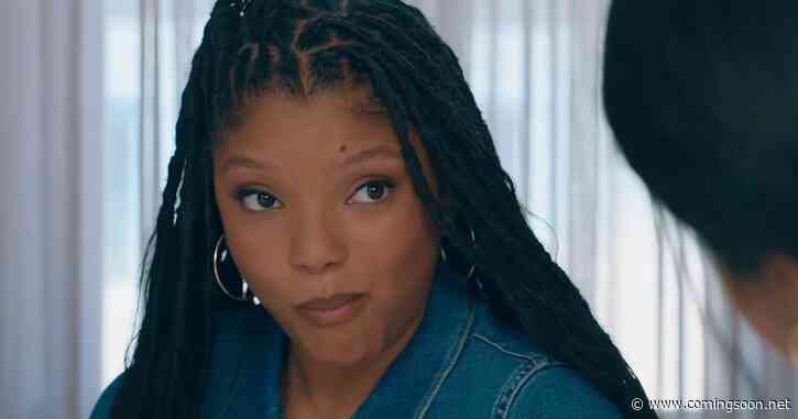 Don’t Miss: Halle Bailey & Bridgerton Actor’s New Comedy Movie Arrives on Streaming Soon