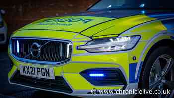 Man arrested in connection with viral Sunderland 'racial abuse' video