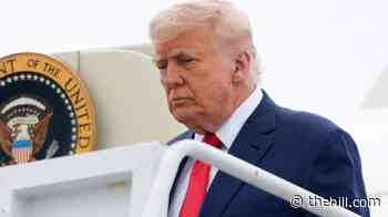 Trump approval at lowest point of second term: Nate Silver