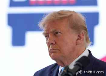 Trump announces deal for Hamas to disarm; Israel 'skeptical'