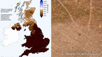 England and Wales on course to record their driest July in 190 YEARS, figures show - as some places see 44 days with no rain