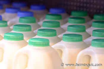 Three dairy processors lift milk prices for farmers