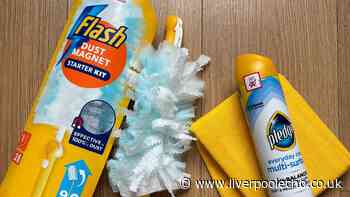 I tested Flash Dust Magnet and cleaning polish spray at home — clear winner