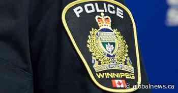‘Thirsty, distressed dog’ left in hot car at Winnipeg grocery store: WPS