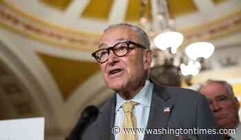 Schumer interrupted by protester: 'You should be questioned about your diabolical record'