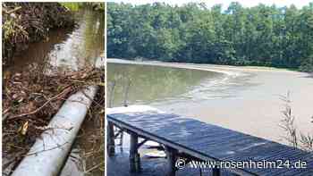 Trocknen die Badeseen um Rosenheim aus? Erschreckende Bilder vom Rinssee – wie es dazu kommt