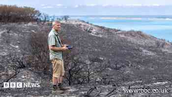 'Upsetting' that camp fire likely led to rare habitat blaze