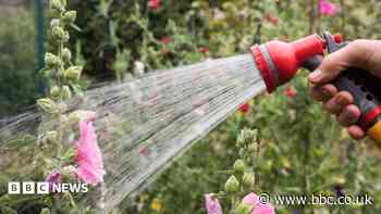 Hosepipe bans in force as drought declared - is your area affected?