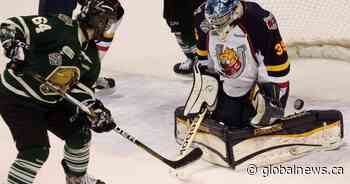 OHL approves Barrie Colts sale to Toronto-area businessman John Careri