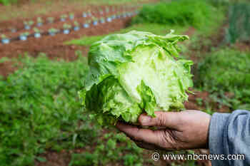 Have cyclospora outbreaks peaked yet? CDC reports over 18,000 possible cases nationwide