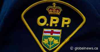 OPP officer charged with assault after North York traffic stop