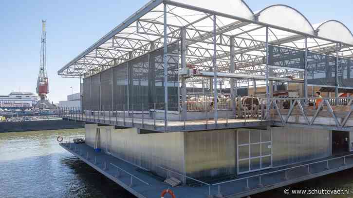 Floating Farm dreigt zonder koeien verder te moeten en staat in de verkoop