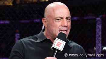 Joe Rogan begs liberals not to turn Texas blue as bombshell Fox poll hands Democrats a head-turning lead