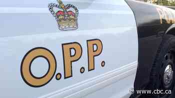 OPP officer charged with assault after incident during January traffic stop