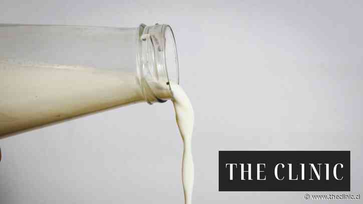 “Es un gran paso, pero no es la panacea”: Qué implica que Chile lograra fortificar leche y harina de trigo con Vitamina D