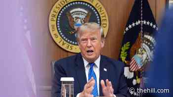 Trump: 'I don't really blame' Cornyn for holding up Blanche confirmation