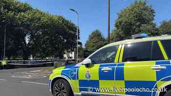 Woman and two babies rushed to hospital after car and bus crash - recap