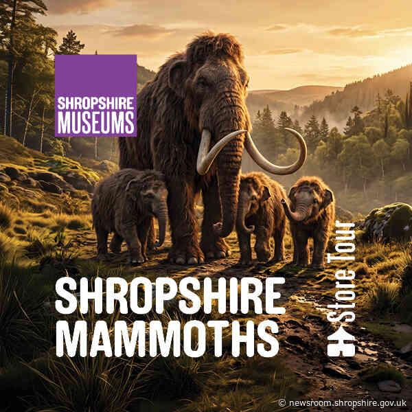 Step behind the scenes at Shropshire Museums’ Collections Centre in Ludlow