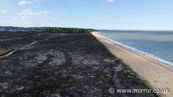 Suffolk wildfire live: Drone images show devastation as helicopter scrambled