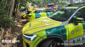 Two rescued from park lake by firefighters
