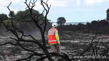Woman saw start of Suffolk wildfires and tried to stamp it out - but 'it went up like a torch'