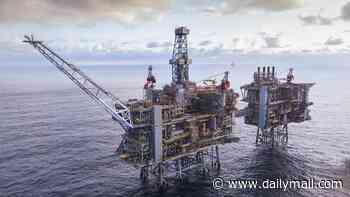 Prime Minister urged to drop ban on oil and gas drilling as BP puts North Sea business up for sale