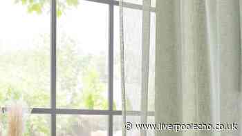 'Add privacy without compromising on light' with 'perfect' Next curtains from £29