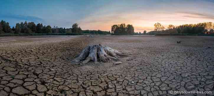 La OMM advierte que El Niño se intensificará entre agosto y octubre con temperaturas globales por encima de la media
